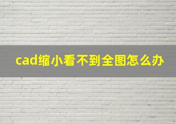 cad缩小看不到全图怎么办