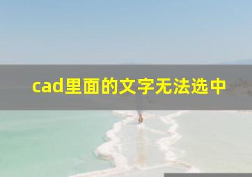 cad里面的文字无法选中