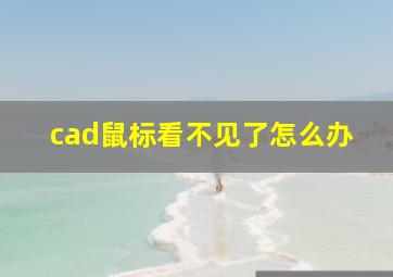 cad鼠标看不见了怎么办