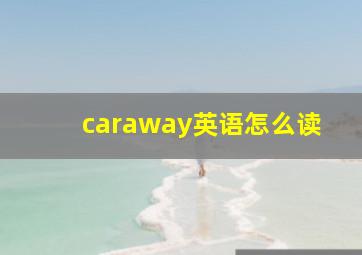 caraway英语怎么读