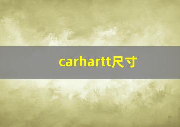 carhartt尺寸