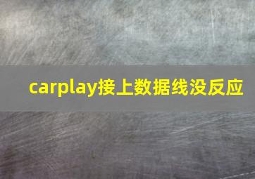 carplay接上数据线没反应