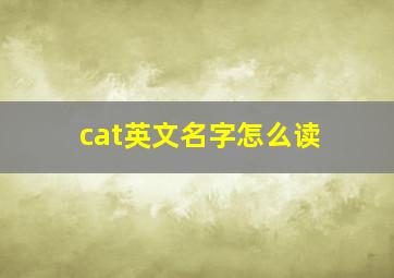 cat英文名字怎么读