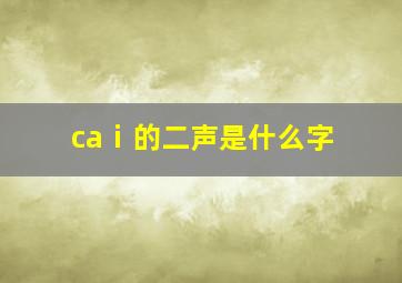 caⅰ的二声是什么字