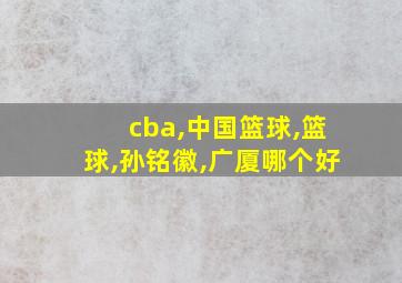 cba,中国篮球,篮球,孙铭徽,广厦哪个好