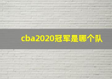 cba2020冠军是哪个队