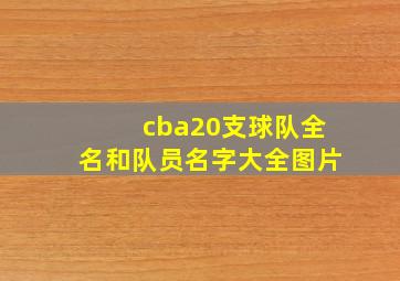 cba20支球队全名和队员名字大全图片