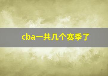 cba一共几个赛季了