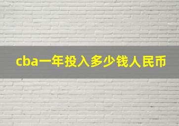 cba一年投入多少钱人民币