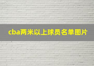 cba两米以上球员名单图片