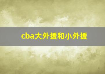 cba大外援和小外援