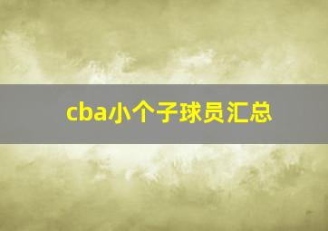 cba小个子球员汇总