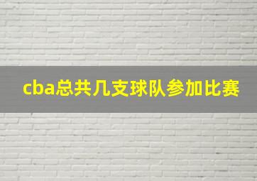 cba总共几支球队参加比赛