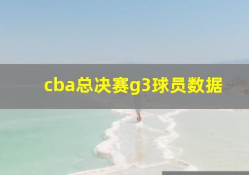 cba总决赛g3球员数据