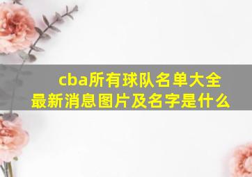 cba所有球队名单大全最新消息图片及名字是什么