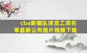 cba新疆队球员工资名单最新公布图片视频下载