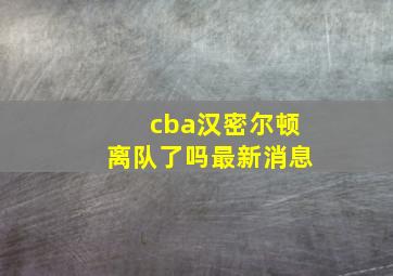 cba汉密尔顿离队了吗最新消息