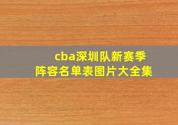 cba深圳队新赛季阵容名单表图片大全集