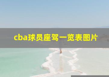 cba球员座驾一览表图片