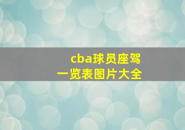 cba球员座驾一览表图片大全