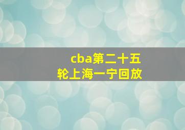 cba第二十五轮上海一宁回放