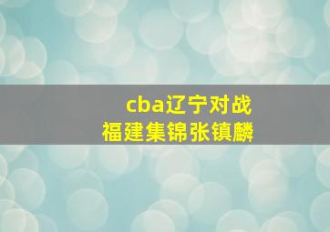 cba辽宁对战福建集锦张镇麟