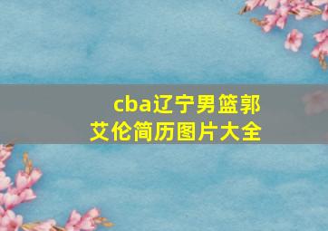 cba辽宁男篮郭艾伦简历图片大全