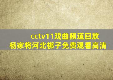 cctv11戏曲频道回放杨家将河北梆子免费观看高清