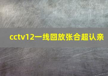 cctv12一线回放张合超认亲