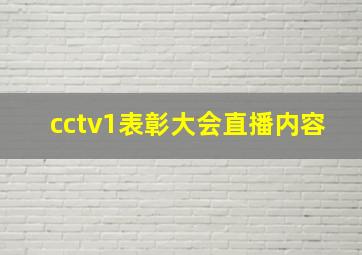 cctv1表彰大会直播内容