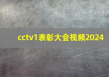 cctv1表彰大会视频2024