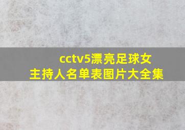 cctv5漂亮足球女主持人名单表图片大全集