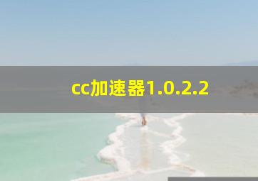 cc加速器1.0.2.2