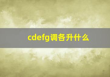 cdefg调各升什么