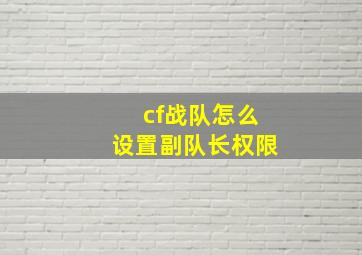 cf战队怎么设置副队长权限