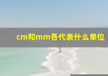 cm和mm各代表什么单位