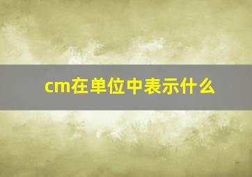 cm在单位中表示什么