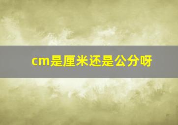 cm是厘米还是公分呀