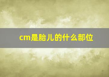 cm是胎儿的什么部位