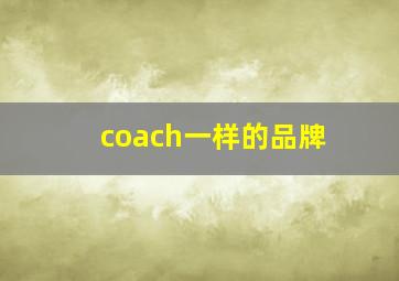 coach一样的品牌