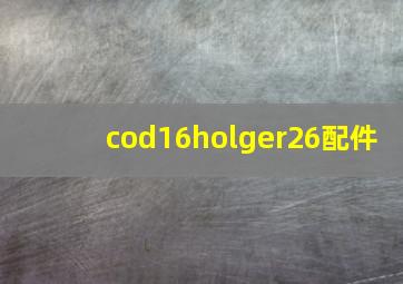 cod16holger26配件