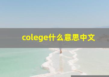 colege什么意思中文