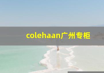 colehaan广州专柜