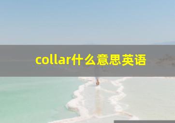 collar什么意思英语