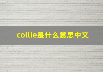 collie是什么意思中文