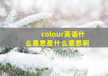 colour英语什么意思是什么意思啊