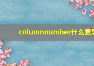 columnnumber什么意思