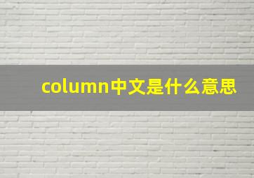 column中文是什么意思