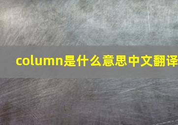 column是什么意思中文翻译