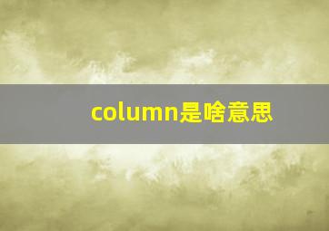 column是啥意思